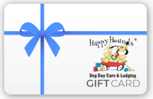 Digital Gift Card